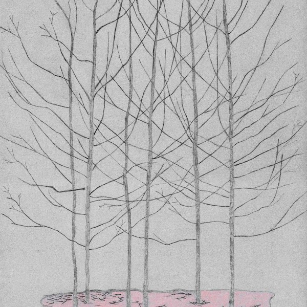 Blue Forest