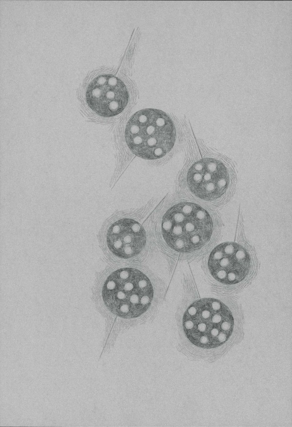 Particles 56 no.1